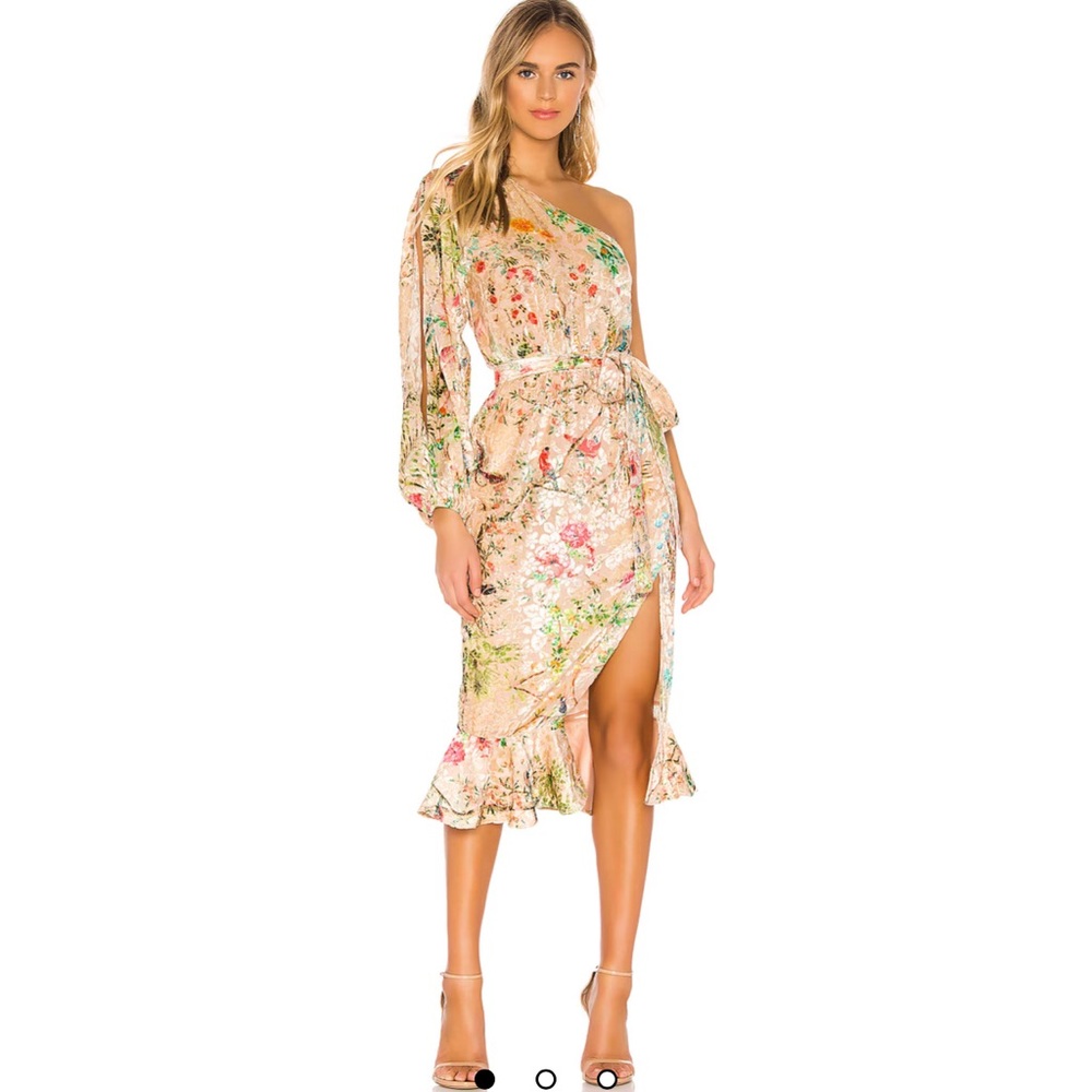 Hemant & Nandita dress NWT